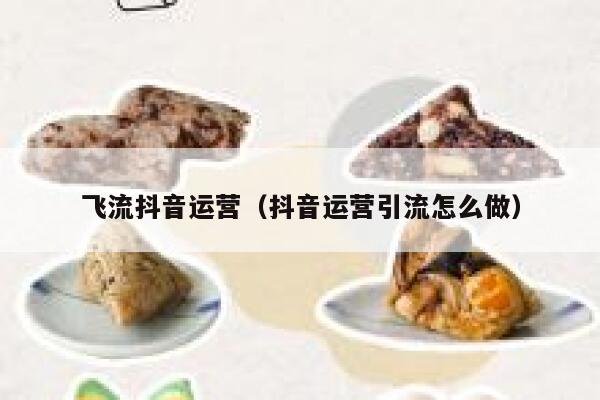 飞流抖音运营（抖音运营引流怎么做）