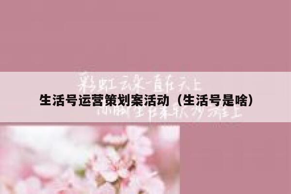 生活号运营策划案活动（生活号是啥）