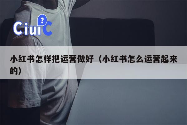 小红书怎样把运营做好（小红书怎么运营起来的）