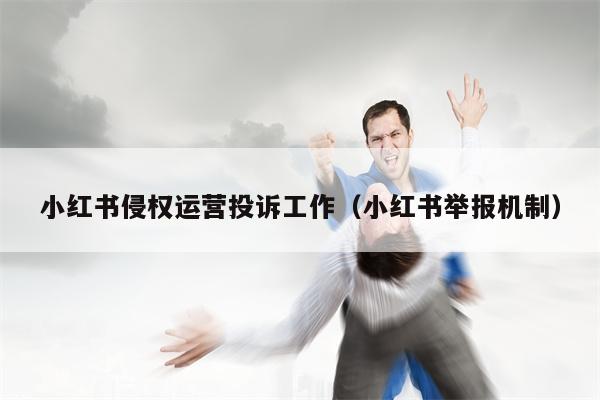 小红书侵权运营投诉工作（小红书举报机制）