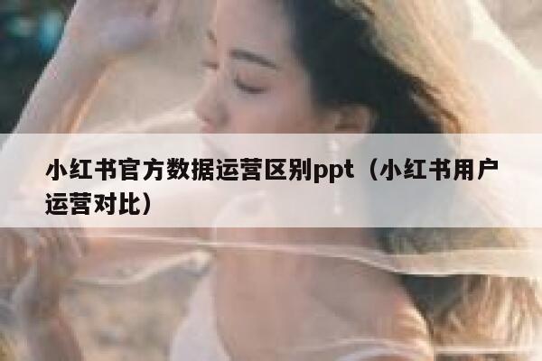 小红书官方数据运营区别ppt（小红书用户运营对比）