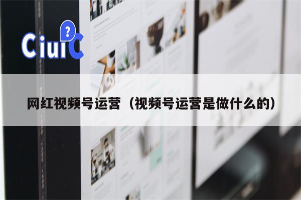 网红视频号运营（视频号运营是做什么的）