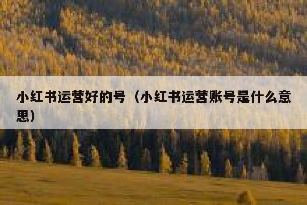 小红书运营好的号（小红书运营账号是什么意思）