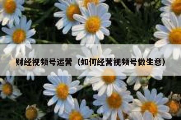 财经视频号运营（如何经营视频号做生意）