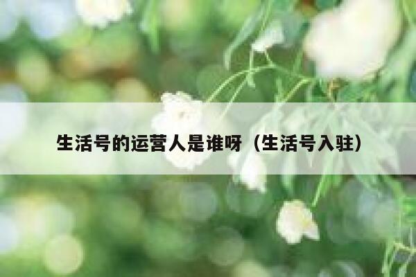 生活号的运营人是谁呀(生活号入驻) 生活号的运营人是谁呀(生活号入驻)