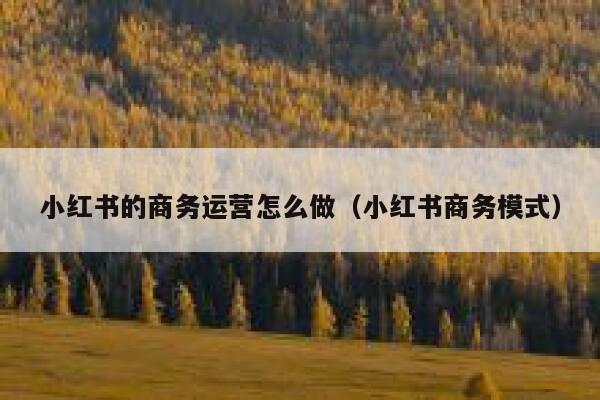 小红书的商务运营怎么做（小红书商务模式）