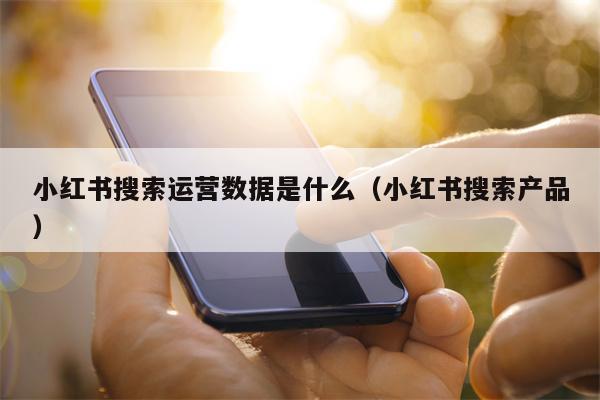 详细阅读:小红书搜索运营数据是什么(小红书搜索产品) 小红书搜索运营数据是什么(小红书搜索产品)