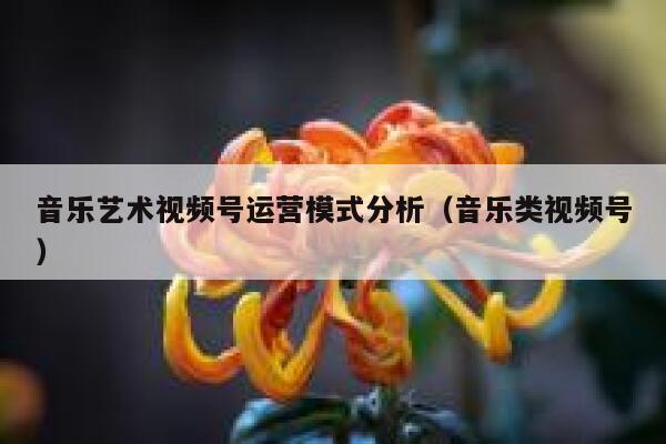 音乐艺术视频号运营模式分析(音乐类视频号) 音乐艺术视频号运营模式分析(音乐类视频号)