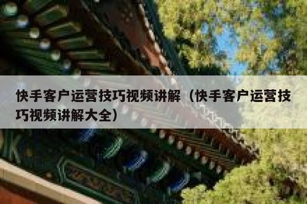 快手客户运营技巧视频讲解(快手客户运营技巧视频讲解大全)