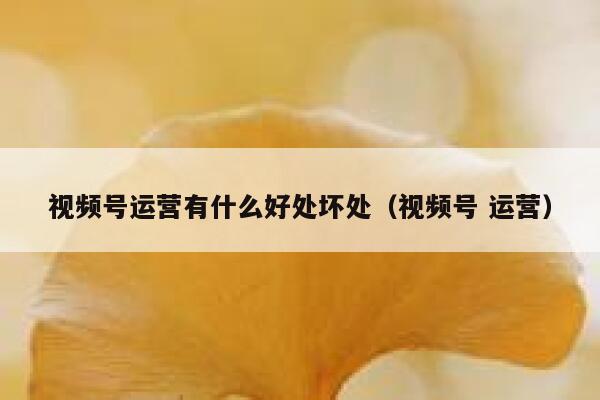 视频号运营有什么好处坏处(视频号 运营)