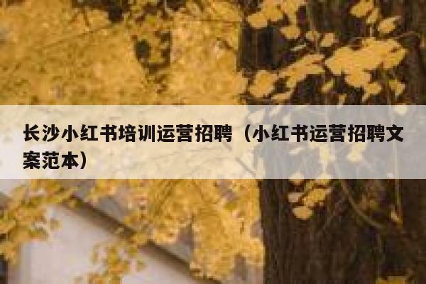 长沙小红书培训运营招聘(小红书运营招聘文案范本) 长沙小红书培训运营招聘(小红书运营招聘文案范本)