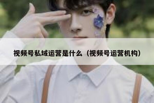 详细阅读:视频号私域运营是什么(视频号运营机构) 视频号私域运营是什么(视频号运营机构)