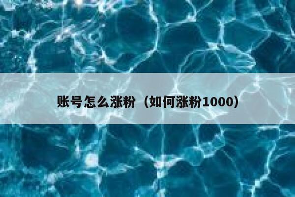 账号怎么涨粉(如何涨粉1000) 账号怎么涨粉(如何涨粉1000)