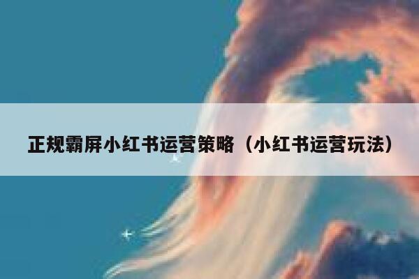 正规霸屏小红书运营策略(小红书运营玩法)