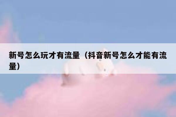 新号怎么玩才有流量（抖音新号怎么才能有流量）