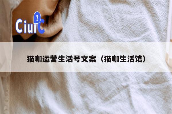 猫咖运营生活号文案（猫咖生活馆）