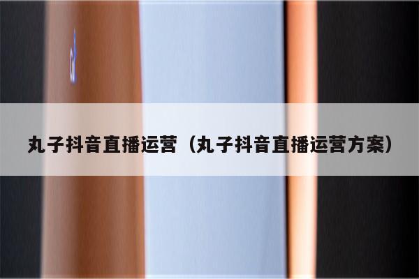 详细阅读:丸子抖音直播运营(丸子抖音直播运营方案) 丸子抖音直播运营(丸子抖音直播运营方案)