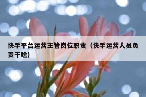 快手平台运营主管岗位职责（快手运营人员负责干啥）