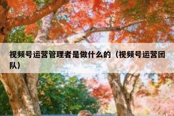 视频号运营管理者是做什么的（视频号运营团队）