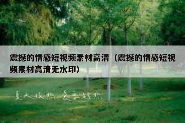 震撼的情感短视频素材高清（震撼的情感短视频素材高清无水印）