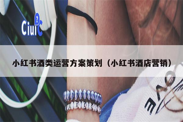 小红书酒类运营方案策划（小红书酒店营销）