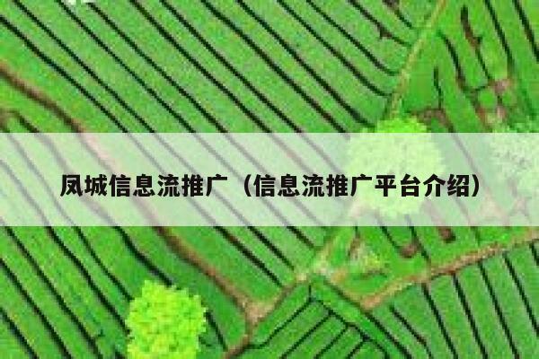 凤城信息流推广（信息流推广平台介绍）