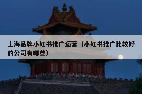 上海品牌小红书推广运营（小红书推广比较好的公司有哪些）