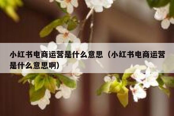 小红书电商运营是什么意思（小红书电商运营是什么意思啊）