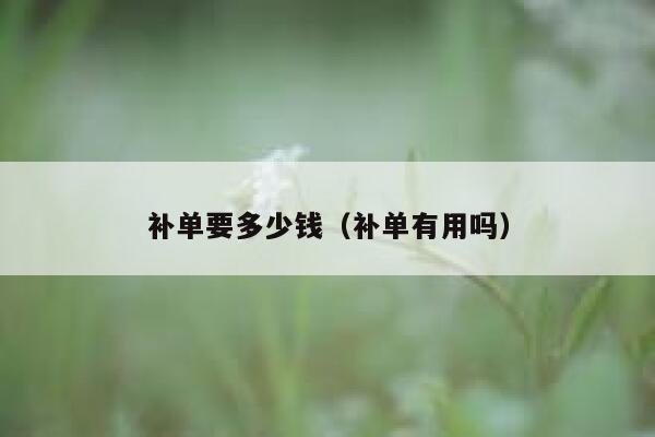 补单要多少钱（补单有用吗）