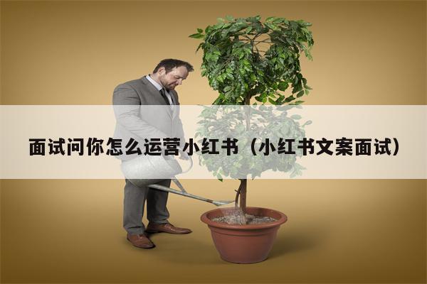 详细阅读:面试问你怎么运营小红书(小红书文案面试) 面试问你怎么运营小红书(小红书文案面试)