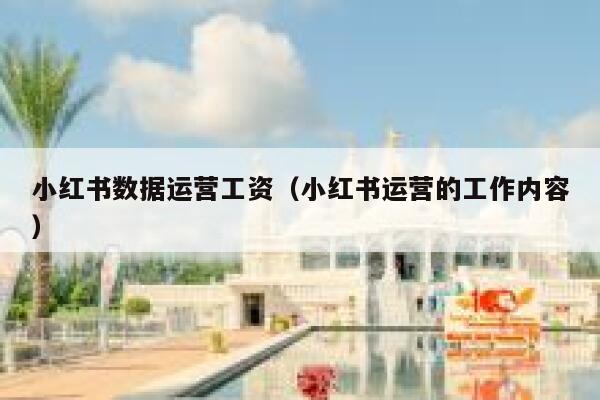 小红书数据运营工资（小红书运营的工作内容）