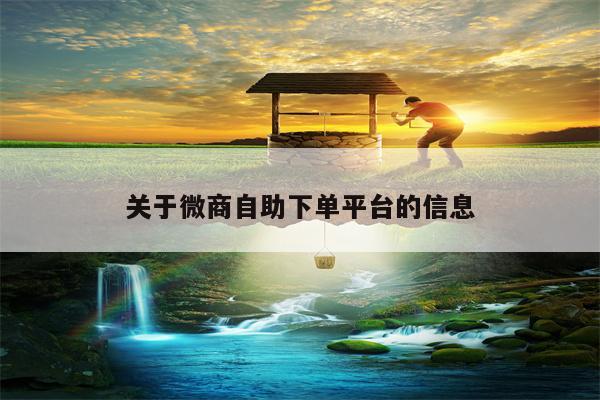 详细阅读:关于微商自助下单平台的信息 关于微商自助下单平台的信息