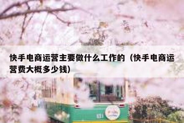 快手电商运营主要做什么工作的（快手电商运营费大概多少钱）