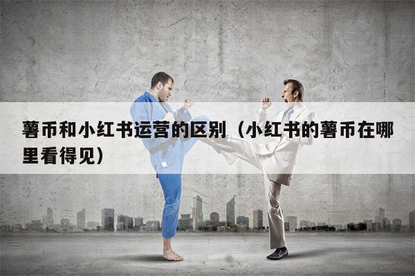 详细阅读:薯币和小红书运营的区别(小红书的薯币在哪里看得见) 薯币和小红书运营的区别(小红书的薯币在哪里看得见)