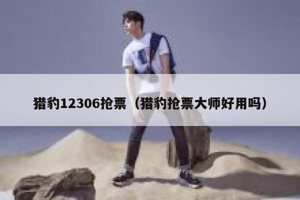 猎豹12306抢票（猎豹抢票大师好用吗）