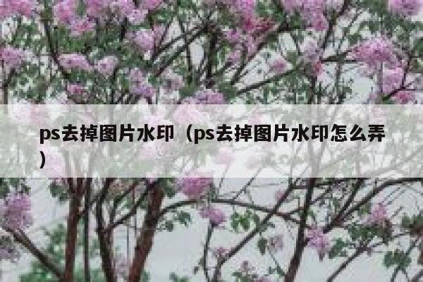 ps去掉图片水印（ps去掉图片水印怎么弄）