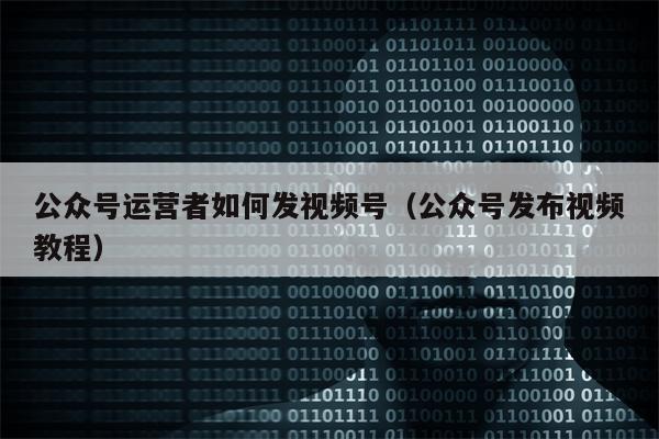 公众号运营者如何发视频号（公众号发布视频教程）