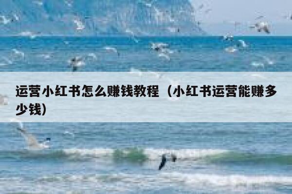 运营小红书怎么赚钱教程（小红书运营能赚多少钱）