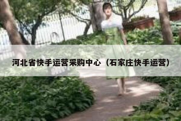 河北省快手运营采购中心（石家庄快手运营）