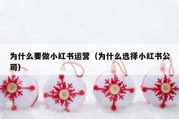 为什么要做小红书运营（为什么选择小红书公司）