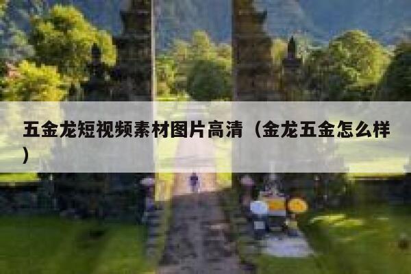 五金龙短视频素材图片高清（金龙五金怎么样）