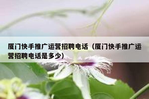 厦门快手推广运营招聘电话（厦门快手推广运营招聘电话是多少）