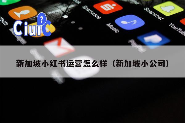 新加坡小红书运营怎么样（新加坡小公司）