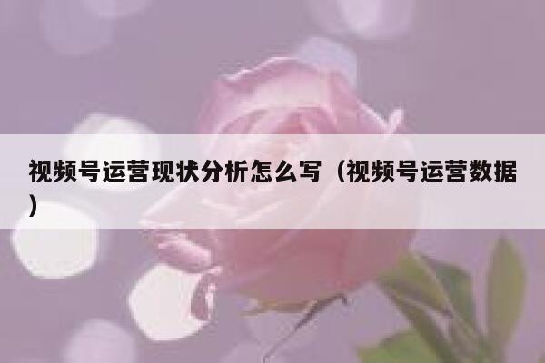 视频号运营现状分析怎么写（视频号运营数据）