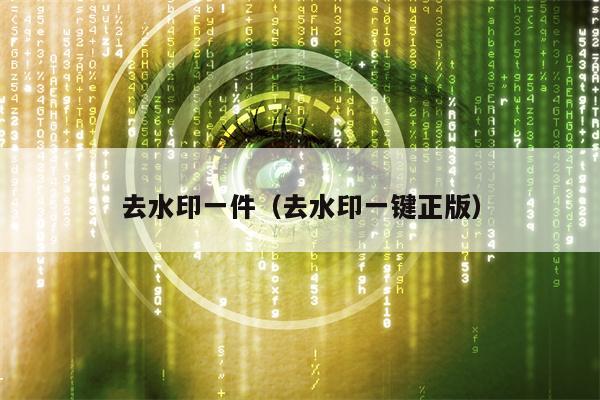 去水印一件（去水印一键正版）