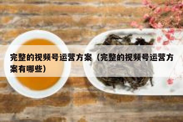 完整的视频号运营方案（完整的视频号运营方案有哪些）