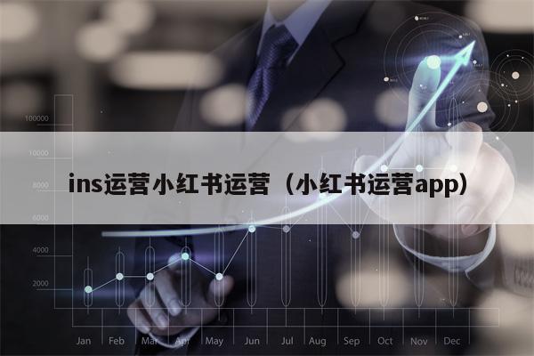 ins运营小红书运营（小红书运营app）