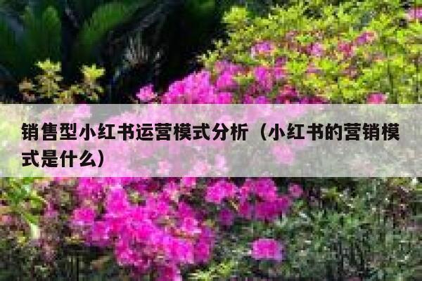销售型小红书运营模式分析（小红书的营销模式是什么）