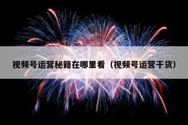 视频号运营秘籍在哪里看（视频号运营干货）