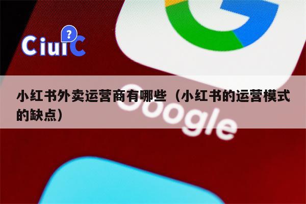 小红书外卖运营商有哪些（小红书的运营模式的缺点）